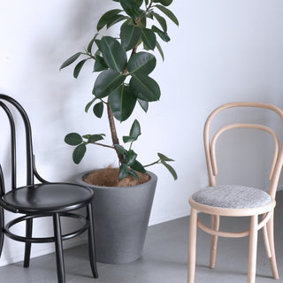 PM210_CAFÉ_side chair